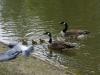 DSC00545 DSC00545