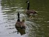 DSC00560 DSC00560