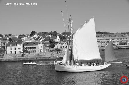 Biche à Concarneau Biche-GX3864-Mai-2013
