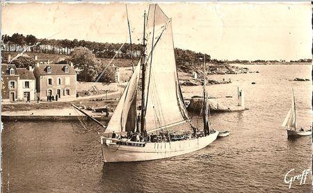 Biche à Concarneau biche-carte-postale