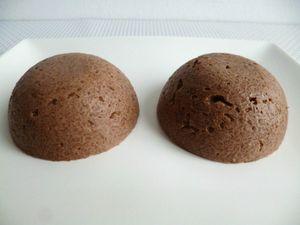 gâteaux crus de flakes complets au cacao cru et au psyllium sans cuisson (sans sucre ni beurre ni oeufs) P1030685