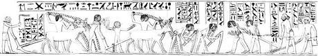 Maillons essentiels de l'économie, les paysans, les semailles… (3) en Égypte ancienne ! Maillons essentiels de l'économie, les paysans, les semailles… (3) en Égypte ancienne !