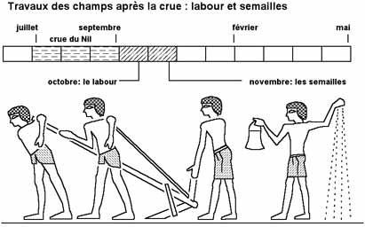 Maillons essentiels de l'économie, les paysans, les semailles… (3) en Égypte ancienne ! Maillons essentiels de l'économie, les paysans, les semailles… (3) en Égypte ancienne !