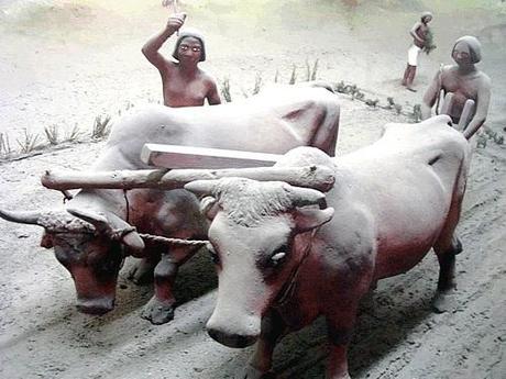Maillons essentiels de l'économie, les paysans, les semailles… (3) en Égypte ancienne ! Maillons essentiels de l'économie, les paysans, les semailles… (3) en Égypte ancienne !