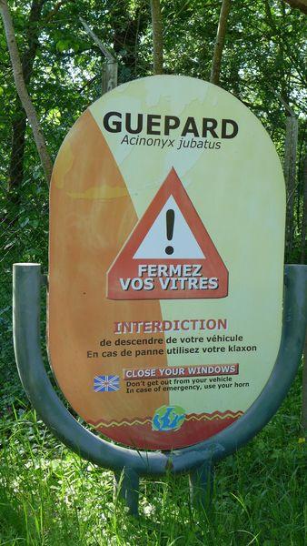 Ma fête des mères dans la savane P1020575