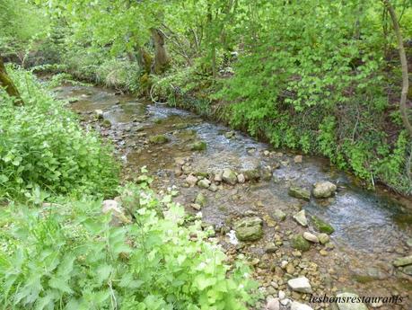 MONTENACH(57)-Réserve Naturelle-Sentier Découverte Pierre Kieffer