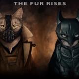 Jenny Parks – Chavenger Super-Chats Jenny Parks Cat 03