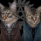 Jenny Parks – Chavenger Super-Chats Jenny Parks Cat 05