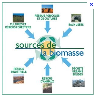 Capture.PNG biomasse sources.PNG