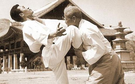 Le taekkyon : un art martial subtil et doux Le taekkyon : un art martial subtil et doux