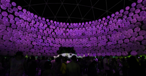 Immergé dans la lumière des LEDs Des éclairages LED pour planer