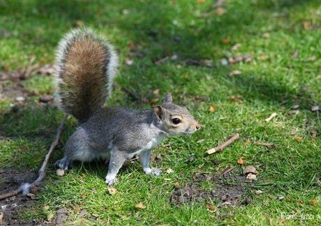 Londres !! (Part 2) londres 1162nA