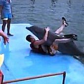 Suite à docu Arte qui montre enfin l'aspect... Suite à docu Arte qui montre enfin l'aspect...