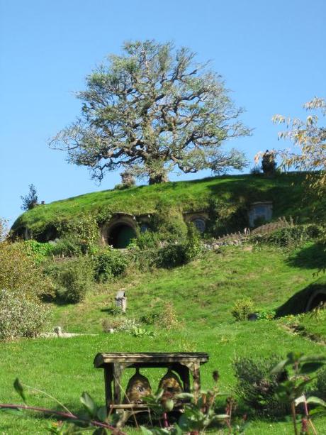 Nouvelle Zélande - Hobbiton - Les lubies de Louise (18)