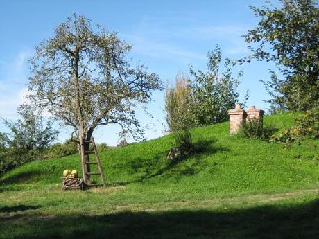 Nouvelle Zélande - Hobbiton - Les lubies de Louise (19)