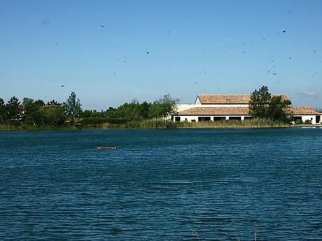10 raisons de passer ses vacances à Pont Royal Diapositive2-copie-5.jpg