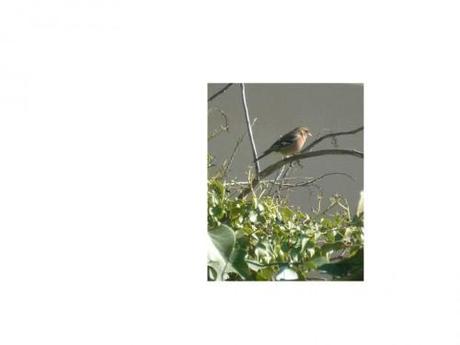 L'INSTINCT citations,proverbes,culture,littérature,écriture,livres,auteurs