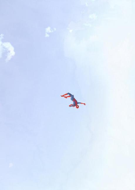 Illustrations : Super Héros et solitaire 1bc762c7ff433939351f451dbaa41ac8