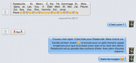 Le paradis des cochons d'Inde Le paradis des cochons d'Inde