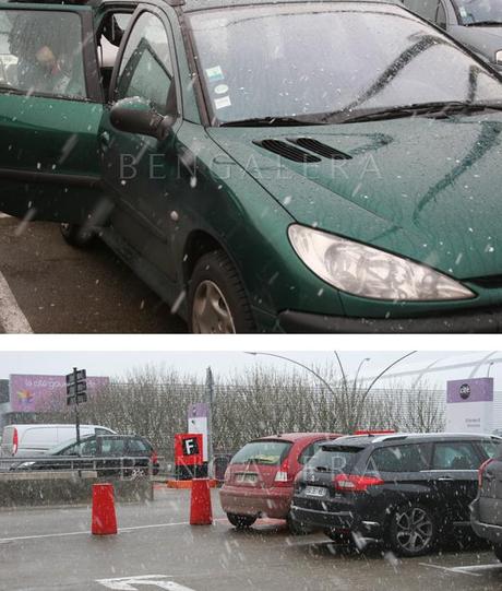 Attente d'Hakuna, notre première femelle Bengal à Calais