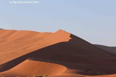 Affrique du Sud - La Namibie - 2 - DUNES DU NAMIB DESERT