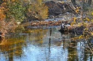 432321_320954787952456_100001138124703_816714_207454229_n L’eau dans le village