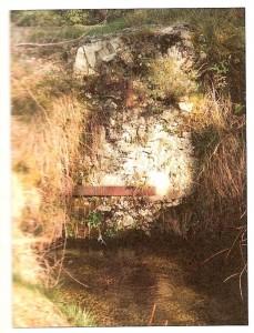 Fontigon L’eau dans le village