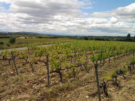 Dernier week-end de Spring Break ! Dernier week-end de Spring Break !