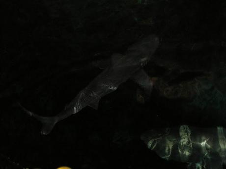 Dernier week-end de Spring Break ! Dernier week-end de Spring Break !