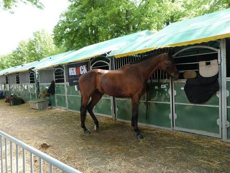 Un samedi sympathique et sous le soleil ! Un samedi sympathique et sous le soleil !
