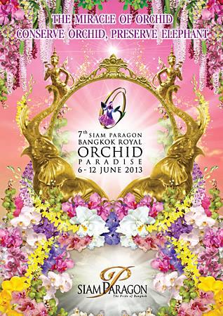 Bangkok Orchid Paradise