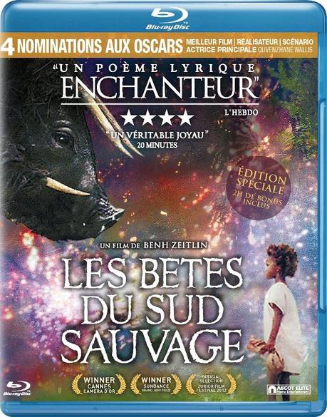 Les Bêtes du Sud Sauvage : un voyage initiatique ... cover beastsofsouthernwild brd fr 300dpi Les Bêtes du Sud Sauvage : un voyage initiatique ...