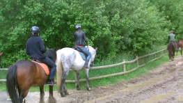 Surprise ! vlcsnap-2013-06-04-23h06m44s206