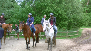 Surprise ! vlcsnap-2013-06-04-23h09m34s136