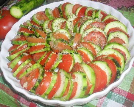 Tian de courgettes /tomates SAM_2411