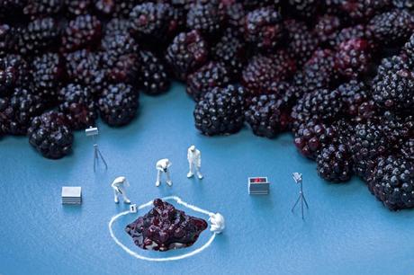Découvrez le SUPERBE travail de Christopher Boffoli blackberry CSI 24x36 300dpi