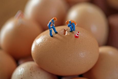 Découvrez le SUPERBE travail de Christopher Boffoli egg crack crew 24x36