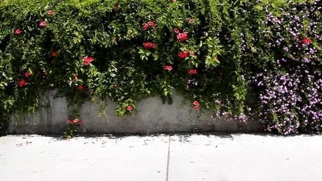 Nike SB Paul Rodriguez 7 nike-sb-paul-rodriguez-7-built-with-dominance-03