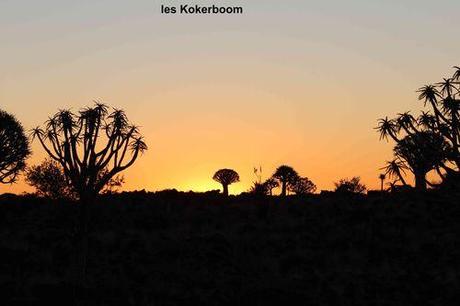 Affrique du Sud - Epupa Epupa-1 6446