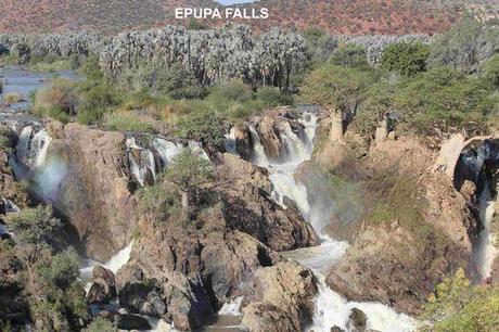 Affrique du Sud - Epupa Epupa-1 6802