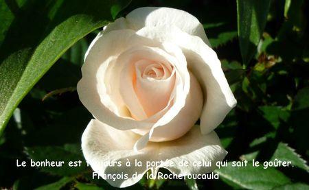 Journée mondiale du tricot TRES BON WEEK-END !