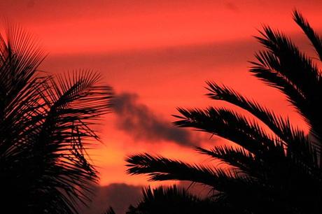 Au soleil couchant ciel-et-nature-1714.JPG