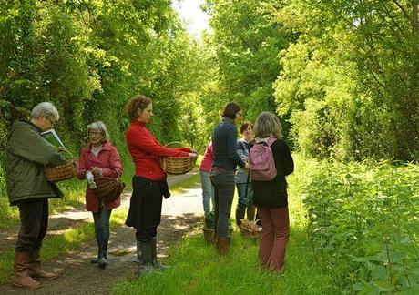 Journée de cuisine sauvage DSC_2121