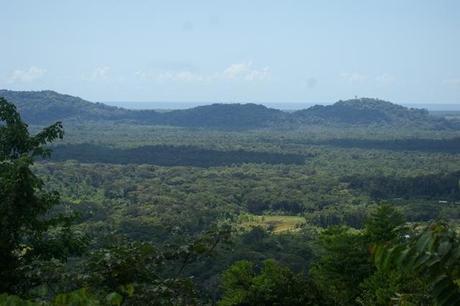 IMGP4644 Guyane Sentier de Montagne des Singes - Mt des Per