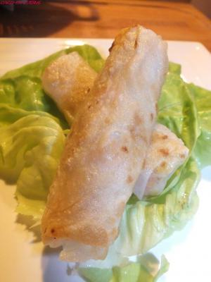 Nems à ma façon dscf4048.jpg