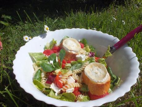 Salade fraîcheur dscf2438.jpg