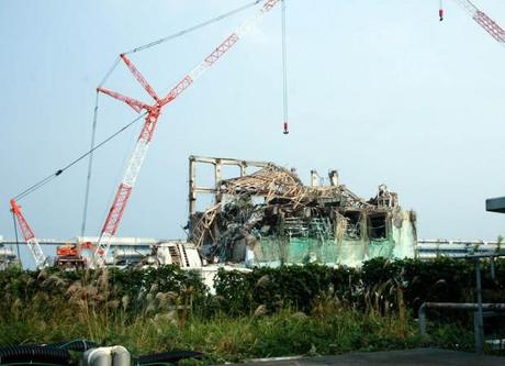 tepco_fukushima_photo_IAEA Imagebank
