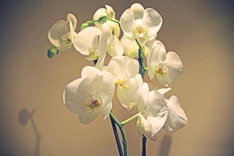 RELAXING INTERLUDE RELAXING INTERLUDE