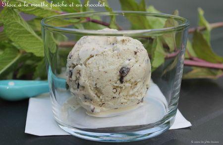 Glace à la menthe et paillettes de chocolat IMG_4521