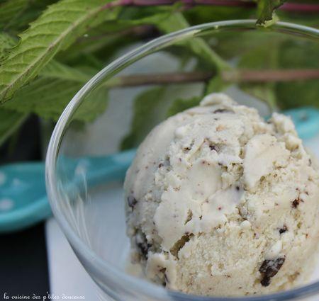 Glace à la menthe et paillettes de chocolat IMG_4512